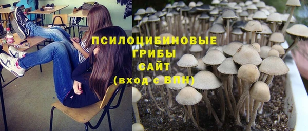 тгк Алексеевка