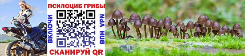 Галлюциногенные грибы мухоморы  Нижнекамск 
