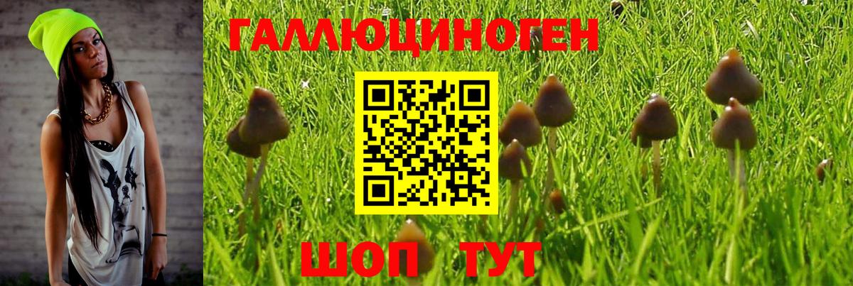 Галлюциногенные грибы GOLDEN TEACHER Нижнекамск