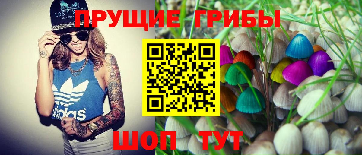 Псилоцибиновые грибы Psilocybine cubensis  Вход с VPN  Нижнекамск  Псилоцибиновые грибы Cubensis 